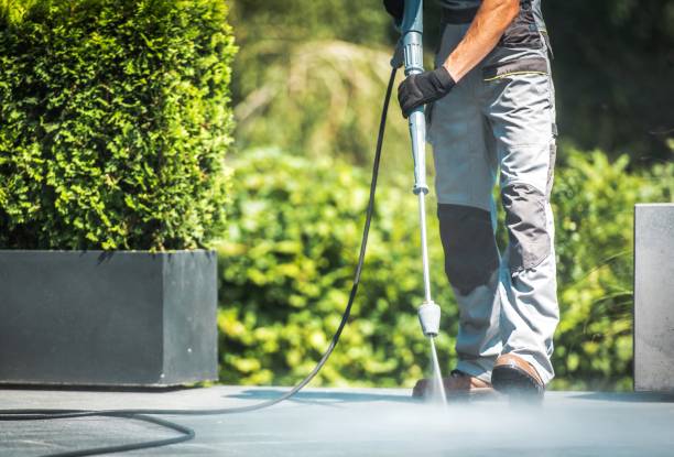 Best Driveway Pressure Washing  in Flora, AL