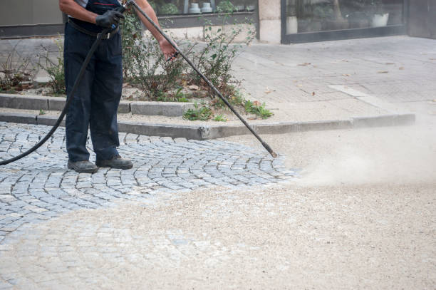 Best Pre-Holiday Cleaning  in Flora, AL